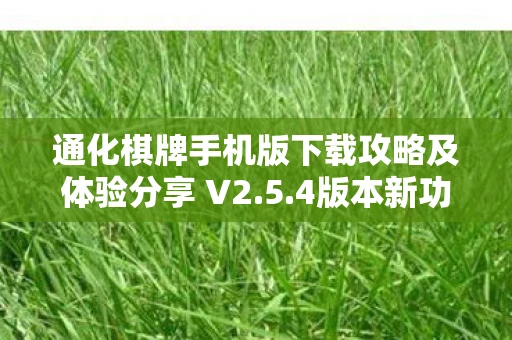 通化棋牌手机版下载攻略及体验分享 V2.5.4版本新功能解析