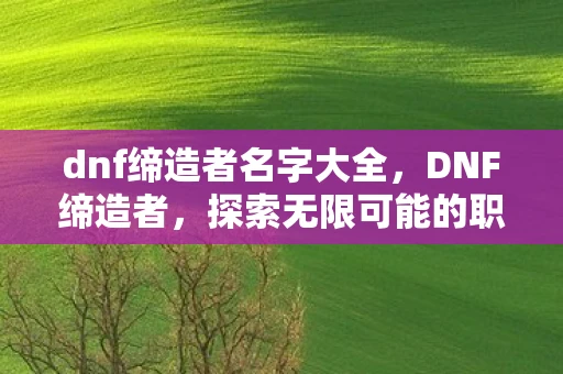 dnf缔造者名字大全,DNF缔造者,探索无限可能的职业之旅 dnf缔造者名字大全,DNF缔造者,探索无限可能的职业之旅