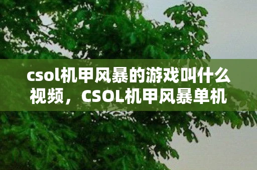 csol机甲风暴的游戏叫什么视频，CSOL机甲风暴单机版，反恐精英OL的新篇章