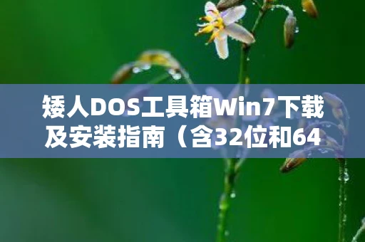 矮人DOS工具箱Win7下载及安装指南(含32位和64位版本) 矮人DOS工具箱Win7下载及安装指南(含32位和64位版本)