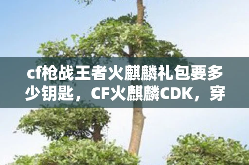 cf枪战王者火麒麟礼包要多少钥匙，CF火麒麟CDK，穿越火线中的王者之剑