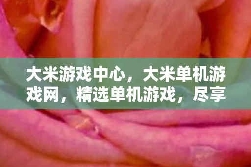 大米游戏中心，大米单机游戏网，精选单机游戏，尽享无限乐趣
