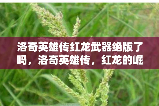 洛奇英雄传红龙武器绝版了吗，洛奇英雄传，红龙的崛起