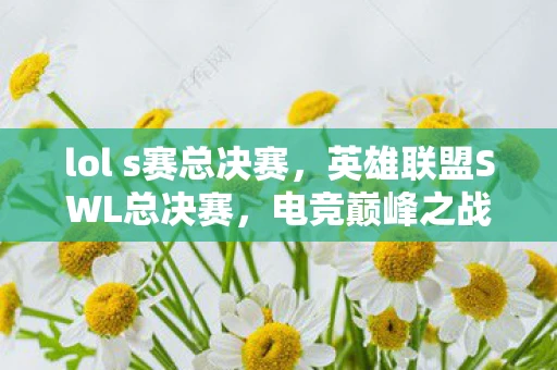 lol s赛总决赛，英雄联盟SWL总决赛，电竞巅峰之战