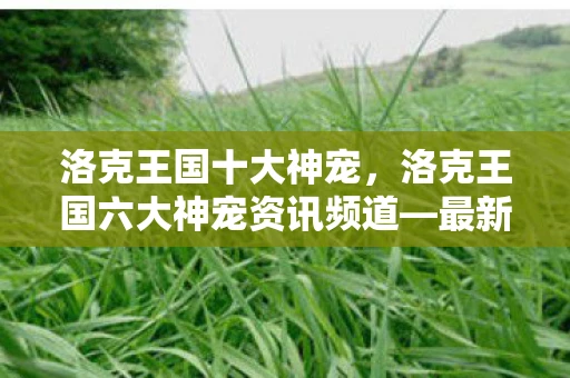 洛克王国十大神宠，洛克王国六大神宠资讯频道—最新宠物动态与特色一览