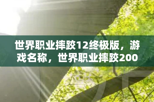 世界职业摔跤12终极版，游戏名称，世界职业摔跤2009资讯频道