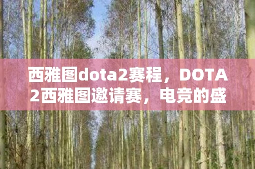 西雅图dota2赛程,DOTA2西雅图邀请赛,电竞的盛宴与荣耀之战 西雅图dota2赛程,DOTA2西雅图邀请赛,电竞的盛宴与荣耀之战