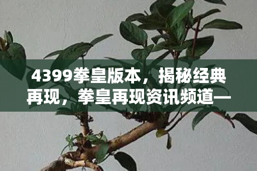 4399拳皇版本,揭秘经典再现,拳皇再现资讯频道—重温拳皇1.5的热血格斗时光 4399拳皇版本,揭秘经典再现,拳皇再现资讯频道—重温拳皇1.5的热血格斗时光