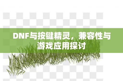 兼容性与游戏应用探讨图片