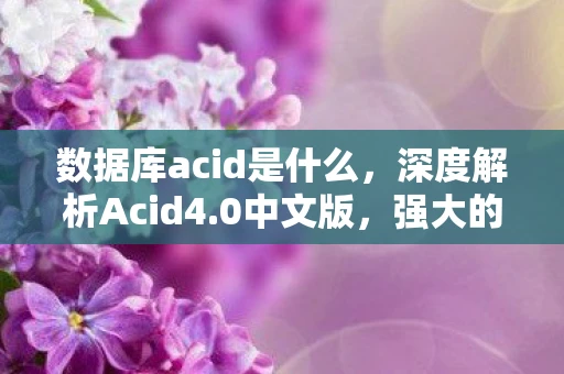 数据库acid是什么，深度解析Acid4.0中文版，强大的数据库管理