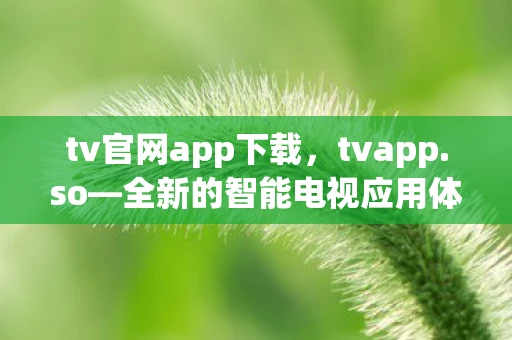 tv官网app下载，tvapp.so—全新的智能电视应用体验，v1.0.7高速下载及使用体验分享
