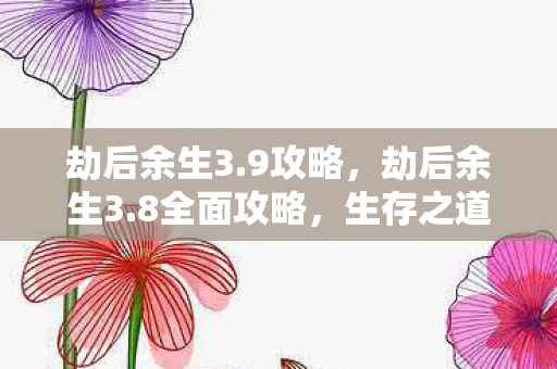 劫后余生3.9攻略，劫后余生3.8全面攻略，生存之道与战斗秘诀