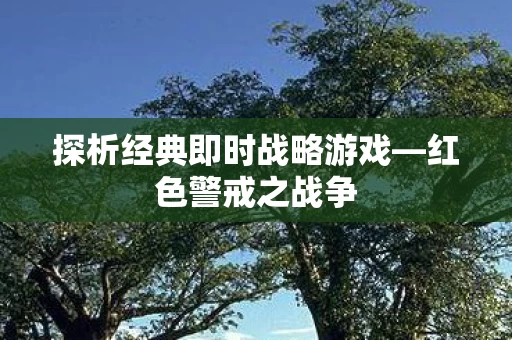 探析经典即时战略游戏图片
