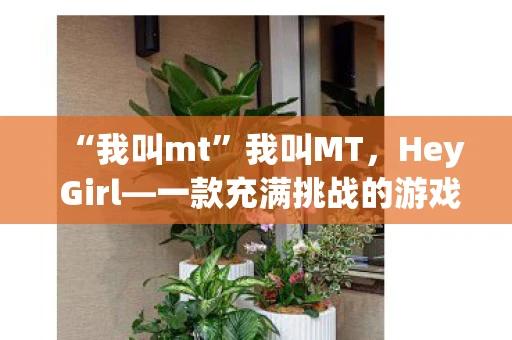 “我叫mt”我叫MT，Hey Girl—一款充满挑战的游戏