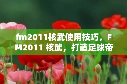 fm2011核武使用技巧,FM2011 核武,打造足球帝国的终极武器 fm2011核武使用技巧,FM2011 核武,打造足球帝国的终极武器