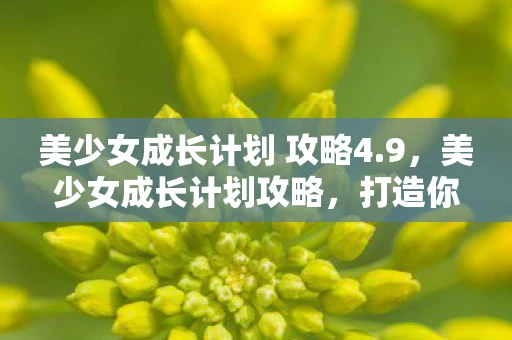 美少女成长计划 攻略4.9,美少女成长计划攻略,打造你的完美少女 4.9版 美少女成长计划 攻略4.9,美少女成长计划攻略,打造你的完美少女 4.9版