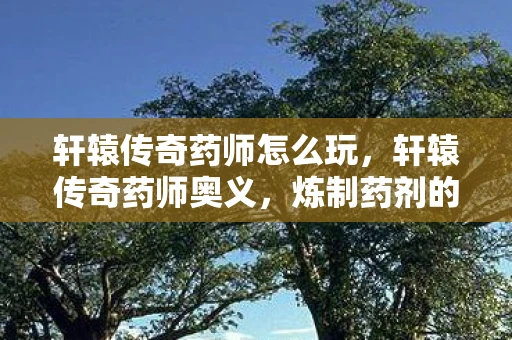 轩辕传奇药师怎么玩,轩辕传奇药师奥义,炼制药剂的巅峰之艺 轩辕传奇药师怎么玩,轩辕传奇药师奥义,炼制药剂的巅峰之艺