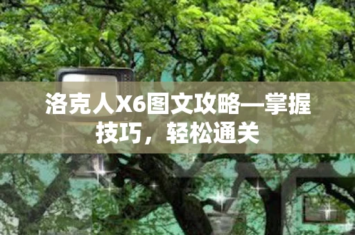 洛克人X6图文攻略—掌握技巧,轻松通关 洛克人X6图文攻略—掌握技巧,轻松通关