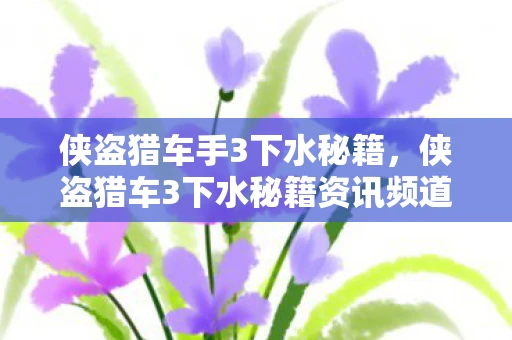 侠盗猎车手3下水秘籍，侠盗猎车3下水秘籍资讯频道