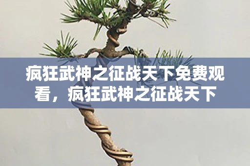 疯狂武神之征战天下免费观看，疯狂武神之征战天下