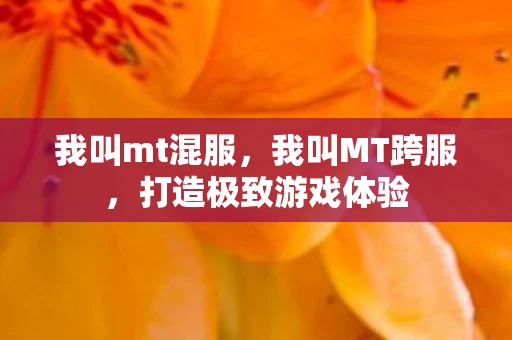我叫mt混服,我叫MT跨服,打造极致游戏体验 我叫mt混服,我叫MT跨服,打造极致游戏体验