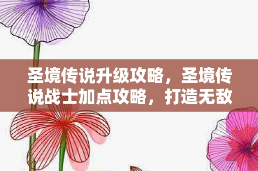 圣境传说升级攻略,圣境传说战士加点攻略,打造无敌战斗机器 圣境传说升级攻略,圣境传说战士加点攻略,打造无敌战斗机器