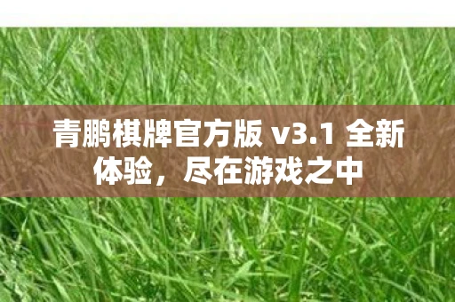 青鹏棋牌官方版 v3.1 全新体验,尽在游戏之中 青鹏棋牌官方版 v3.1 全新体验,尽在游戏之中