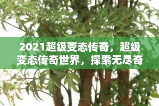 2021超级变态传奇，超级变态传奇世界，探索无尽奇幻，开启史诗冒险