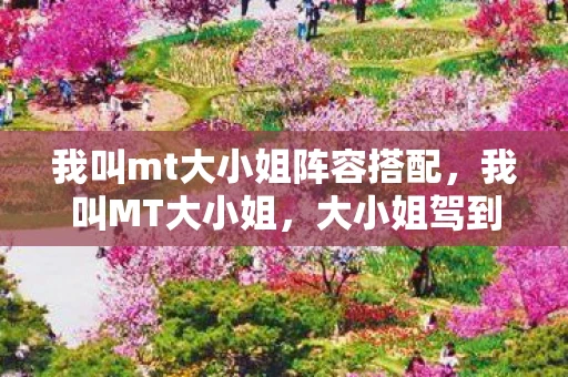 我叫mt大小姐阵容搭配,我叫MT大小姐,大小姐驾到!我叫MT游戏中的女性力量 我叫mt大小姐阵容搭配,我叫MT大小姐,大小姐驾到!我叫MT游戏中的女性力量