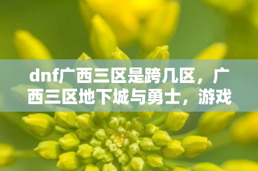 dnf广西三区是跨几区，广西三区地下城与勇士，游戏深度体验与攻略分享