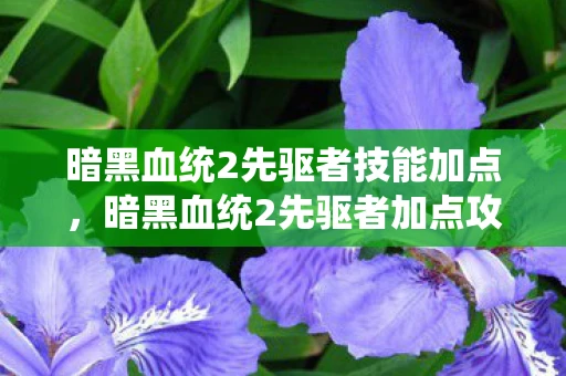 暗黑血统2先驱者技能加点,暗黑血统2先驱者加点攻略,打造独一无二的游戏体验 暗黑血统2先驱者技能加点,暗黑血统2先驱者加点攻略,打造独一无二的游戏体验