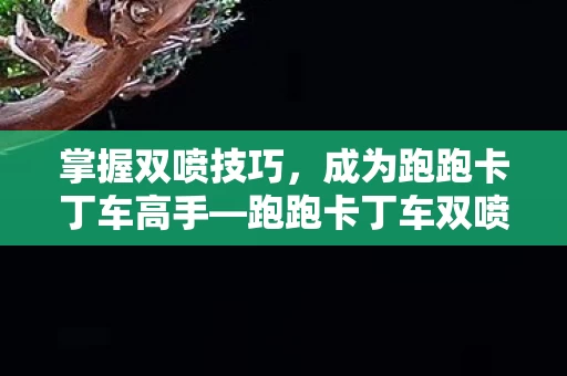 成为跑跑卡丁车高手图片