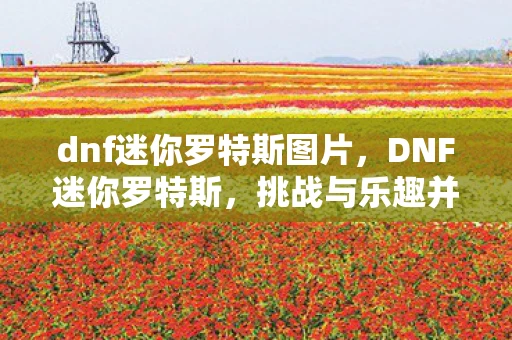 dnf迷你罗特斯图片，DNF迷你罗特斯，挑战与乐趣并存