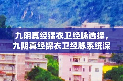 九阴真经锦衣卫经脉选择，九阴真经锦衣卫经脉系统深度解析