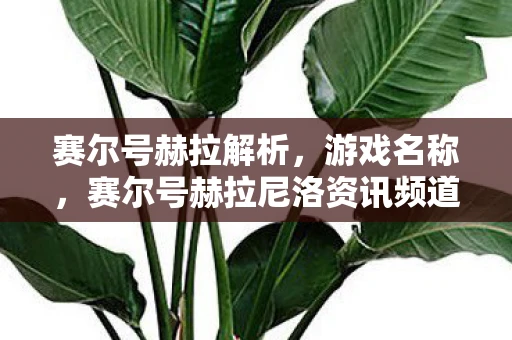 赛尔号赫拉解析，游戏名称，赛尔号赫拉尼洛资讯频道