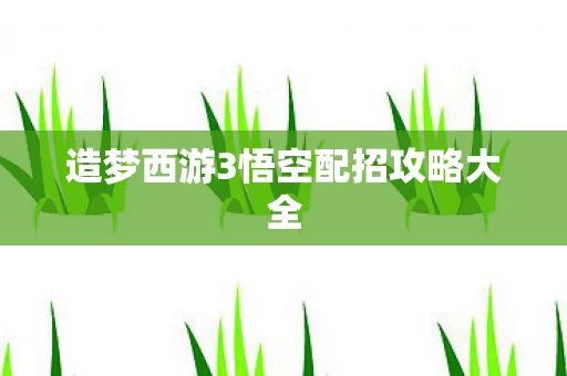 造梦西游3悟空配招攻略大全图片