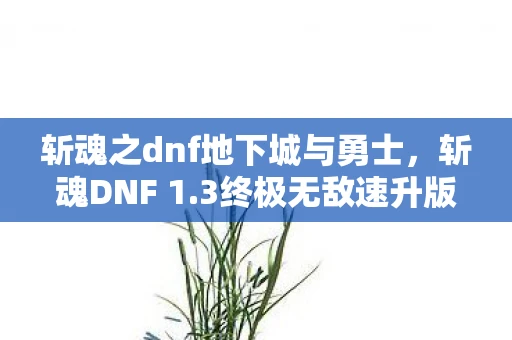 斩魂之dnf地下城与勇士,斩魂DNF 1.3终极无敌速升版,升级飞速,战斗无敌 斩魂之dnf地下城与勇士,斩魂DNF 1.3终极无敌速升版,升级飞速,战斗无敌