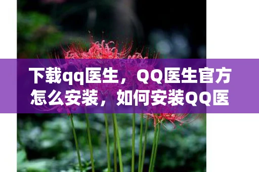下载qq医生，QQ医生官方怎么安装，如何安装QQ医生官方版