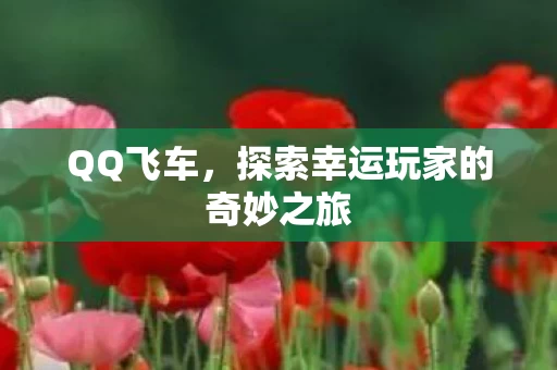探索幸运玩家的奇妙之旅图片