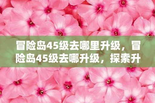 冒险岛45级去哪里升级，冒险岛45级去哪升级，探索升级之路