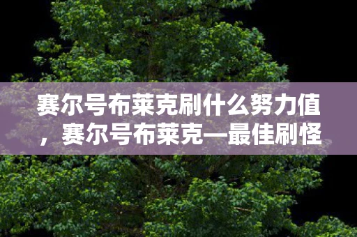 赛尔号布莱克刷什么努力值,赛尔号布莱克—最佳刷怪攻略 赛尔号布莱克刷什么努力值,赛尔号布莱克—最佳刷怪攻略