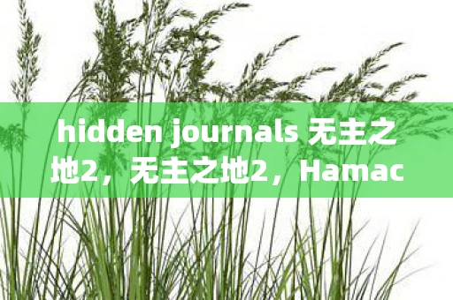 hidden journals 无主之地2,无主之地2,Hamachi的奇幻冒险 hidden journals 无主之地2,无主之地2,Hamachi的奇幻冒险