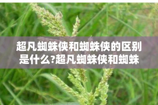 超凡蜘蛛侠和蜘蛛侠的区别是什么?超凡蜘蛛侠和蜘蛛侠的区别，游戏世界的独特魅力与差异体验