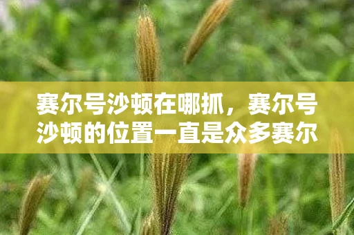 赛尔号沙顿在哪抓,赛尔号沙顿的位置一直是众多赛尔号玩家们关注的焦点。今天,我们将一起探索虚拟宇宙的无尽奥秘,揭开赛尔号沙顿的神秘面纱,带您领略这个神秘角色的魅力所在 赛尔号沙顿在哪抓,赛尔号沙顿的位置一直是众多赛尔号玩家们关注的焦点。今天,我们将一起探索虚拟宇宙的无尽奥秘,揭开赛尔号沙顿的神秘面纱,带您领略这个神秘角色的魅力所在
