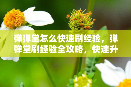 弹弹堂怎么快速刷经验,弹弹堂刷经验全攻略,快速升级不是梦 弹弹堂怎么快速刷经验,弹弹堂刷经验全攻略,快速升级不是梦