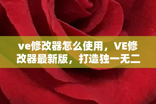 ve修改器怎么使用，VE修改器最新版，打造独一无二的游戏体验