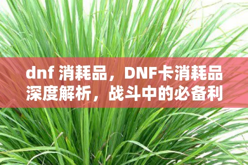 dnf 消耗品，DNF卡消耗品深度解析，战斗中的必备利器