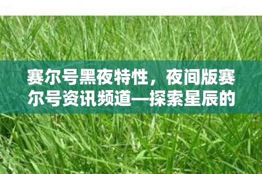 赛尔号黑夜特性，夜间版赛尔号资讯频道—探索星辰的秘密