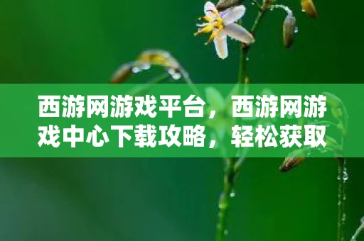 西游网游戏平台,西游网游戏中心下载攻略,轻松获取最新版游戏,体验高速下载乐趣 西游网游戏平台,西游网游戏中心下载攻略,轻松获取最新版游戏,体验高速下载乐趣
