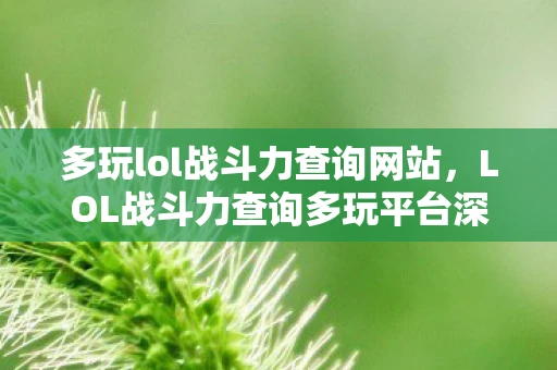 多玩lol战斗力查询网站，LOL战斗力查询多玩平台深度解析